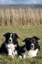 IMG_0244 kopie